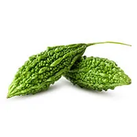 Bitter Melon Extract