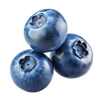 Juniper Berry Extract