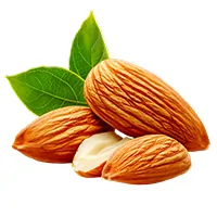 Vitamin E for Blood Sugar